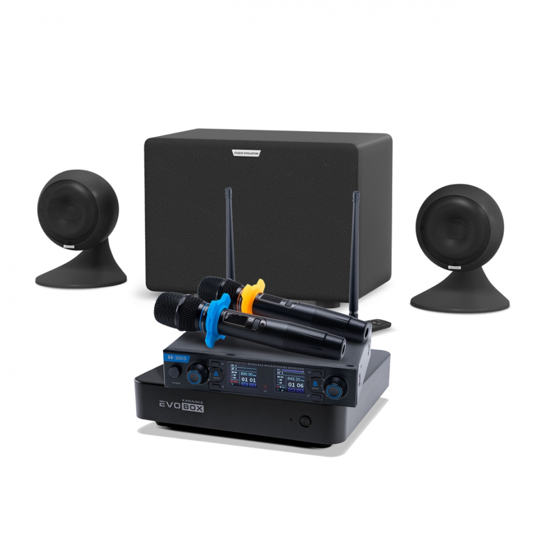 караоке-комплект EVOBOX + EvoSound Sphere 2.1 в Калининграде