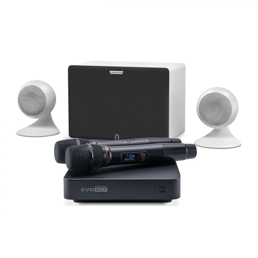 караоке-комплект EVOBOX Classic + EvoSound Sphere 2.1 в Калининграде
